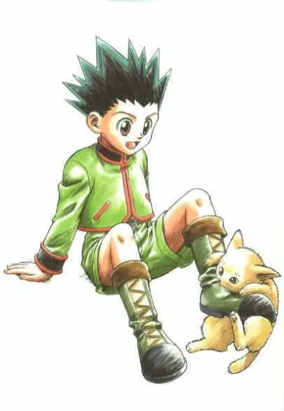Gon Freecss
