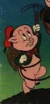 Cicero Pig