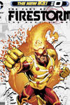 The Fury of Firestorm: The Nuclear Men (2011-2012)