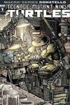 Teenage Mutant Ninja Turtles: Macro-Series (2018-)