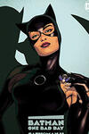 Batman - One Bad Day: Catwoman