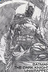 Batman: The Dark Knight Unwrapped By David Finch Deluxe Edition