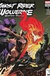 Ghost Rider/Wolverine: Weapons of Vengeance Omega