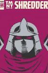 Teenage Mutant Ninja Turtles: Best of Shredder (2021)