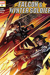 Falcon & Winter Soldier