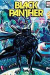 Black Panther (2021)