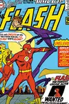 Silver Age: Flash (2000-)