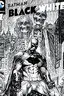 Batman Black and White (2013)